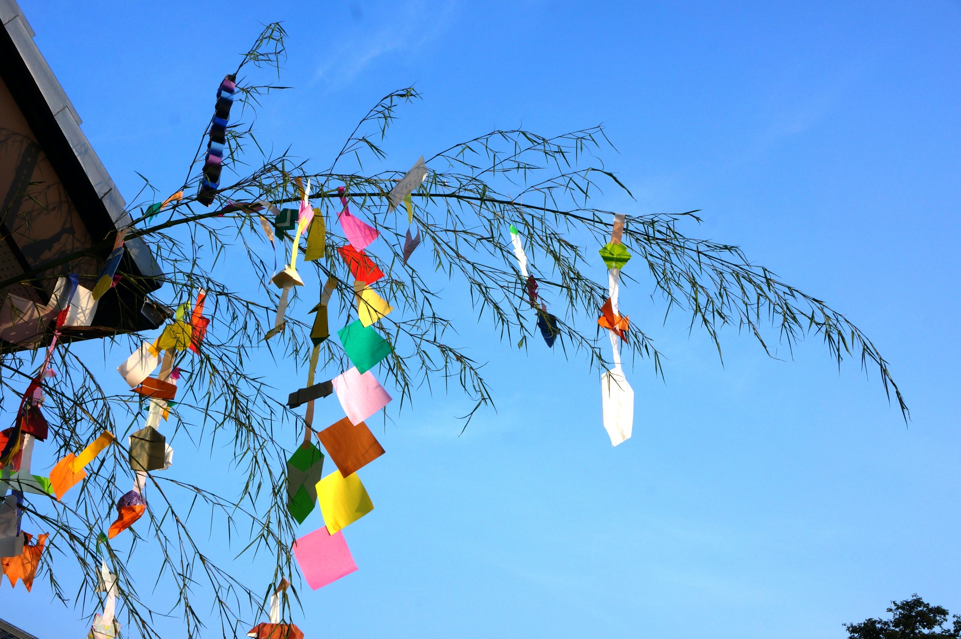 一宮七夕清掃ボランティア活動に参加