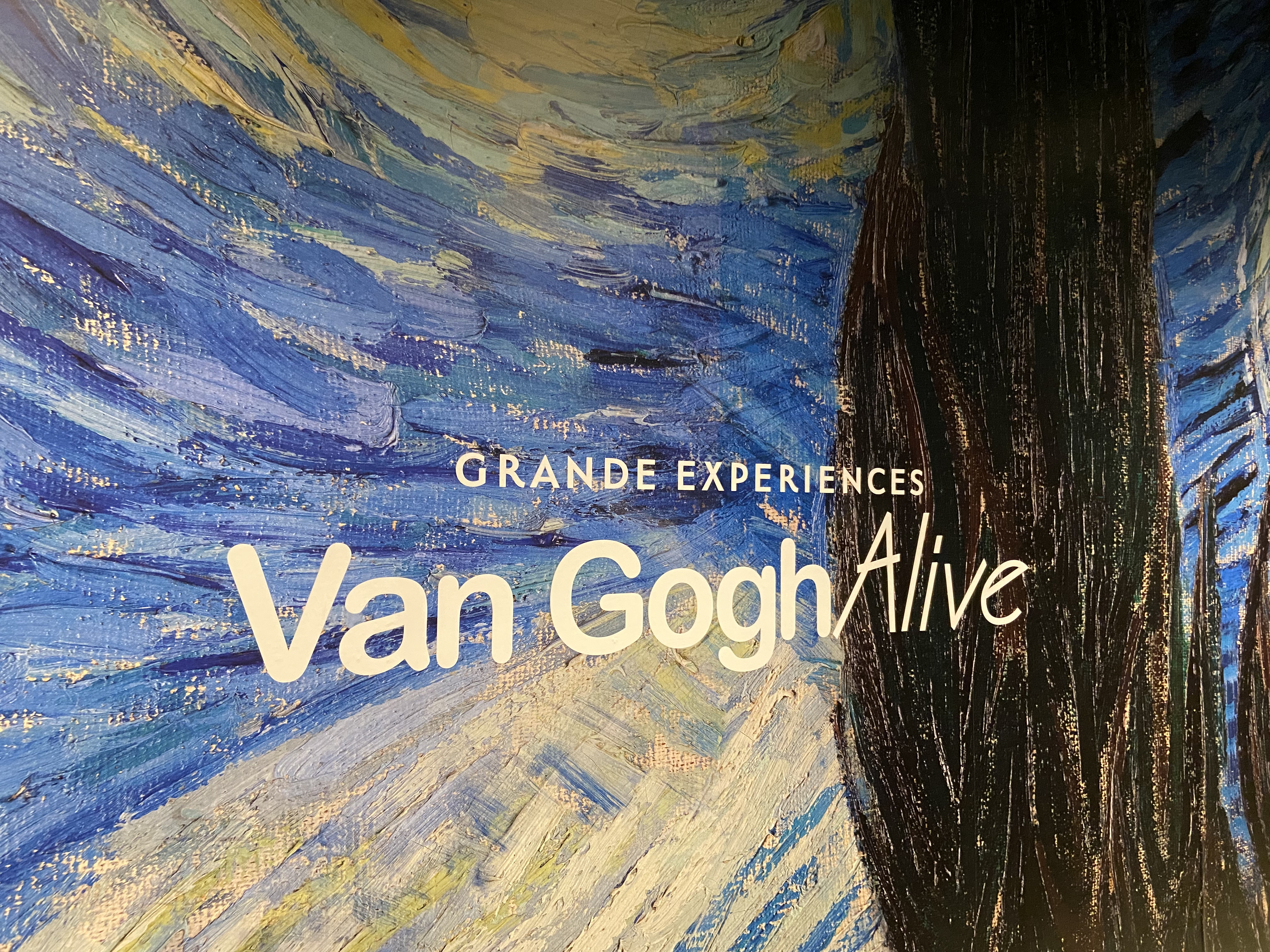 新しい刺激を貰いました