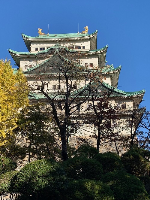 名古屋城に行ってきました。