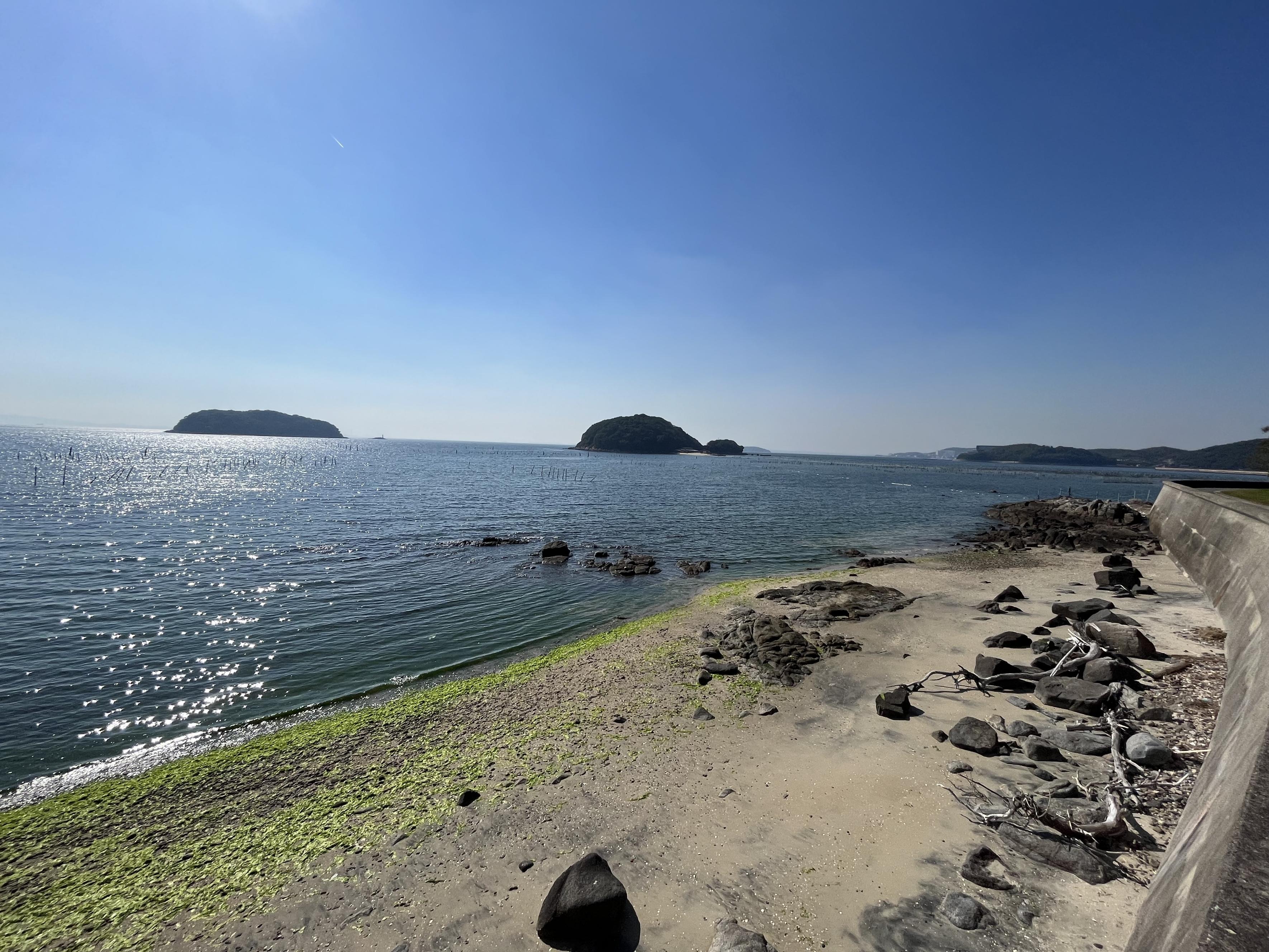 東幡豆海岸で散歩