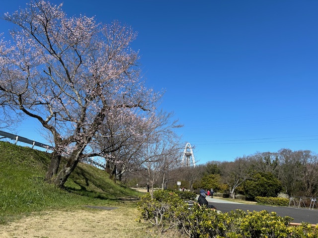 ご家族皆で春をさがしにいきませんか！