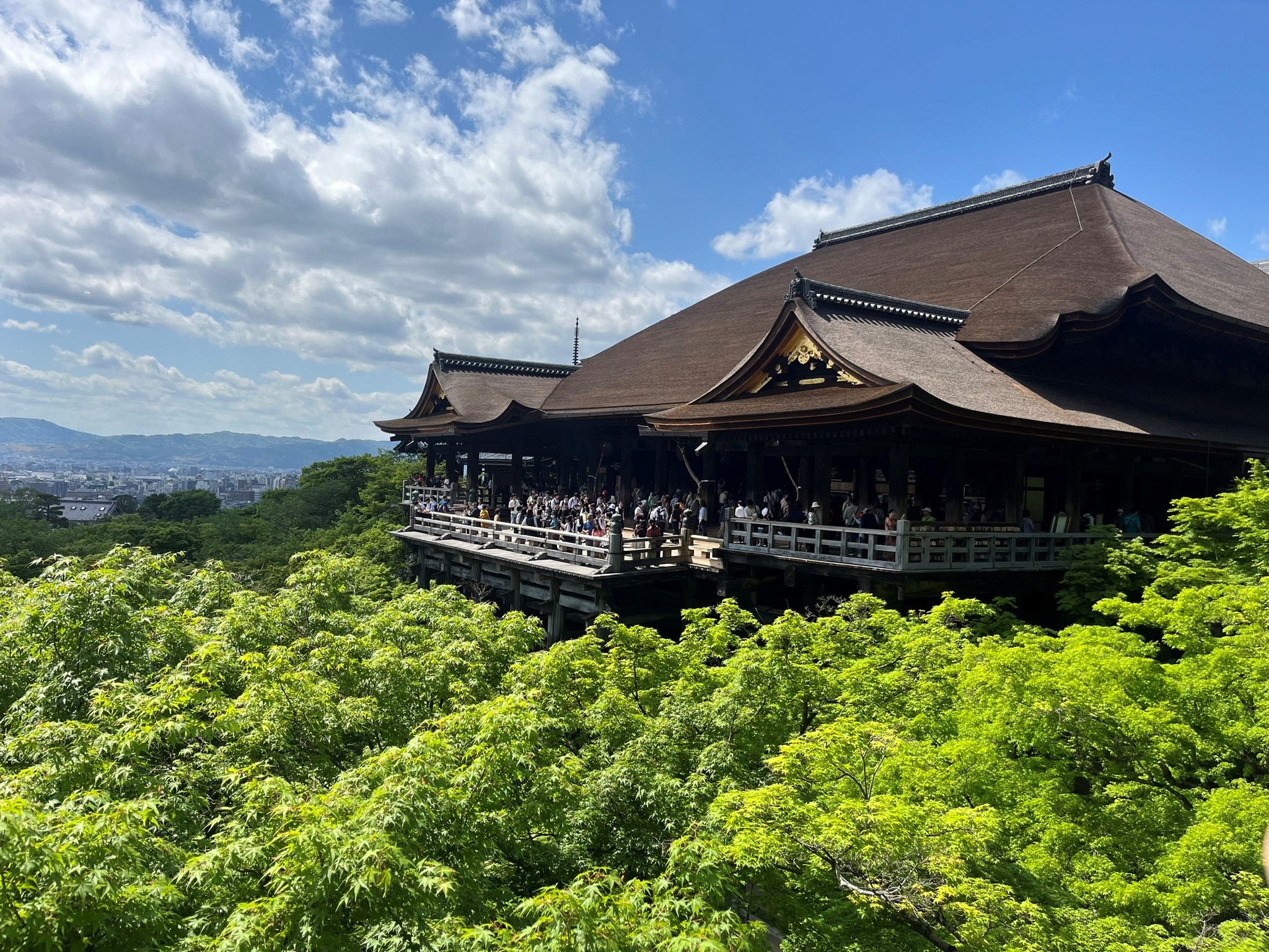 京都に行ってきました！