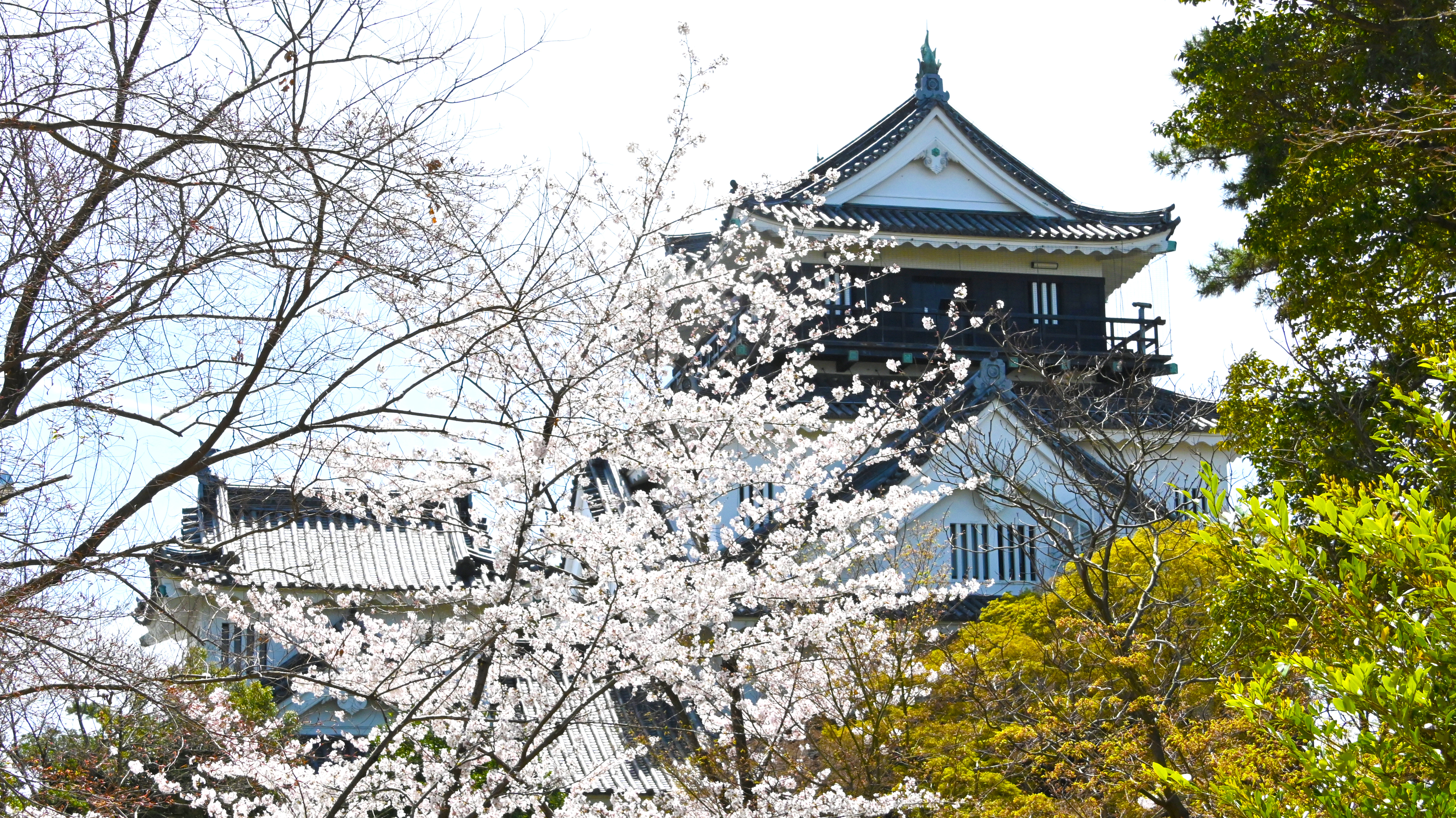愛知県で人気の地域、岡崎市で戸建て住宅をお探しの皆様へ