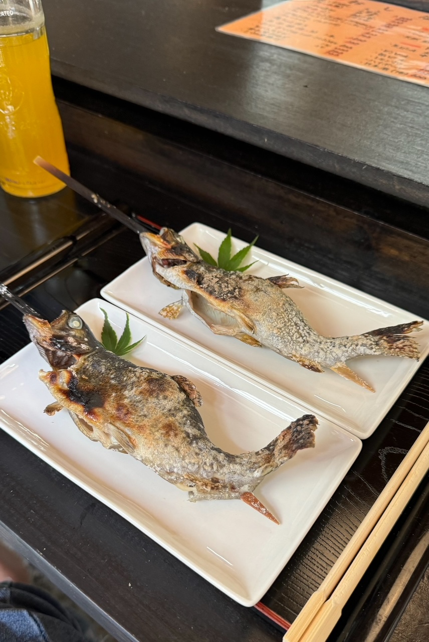 郡上市にて大自然を感じてきました！