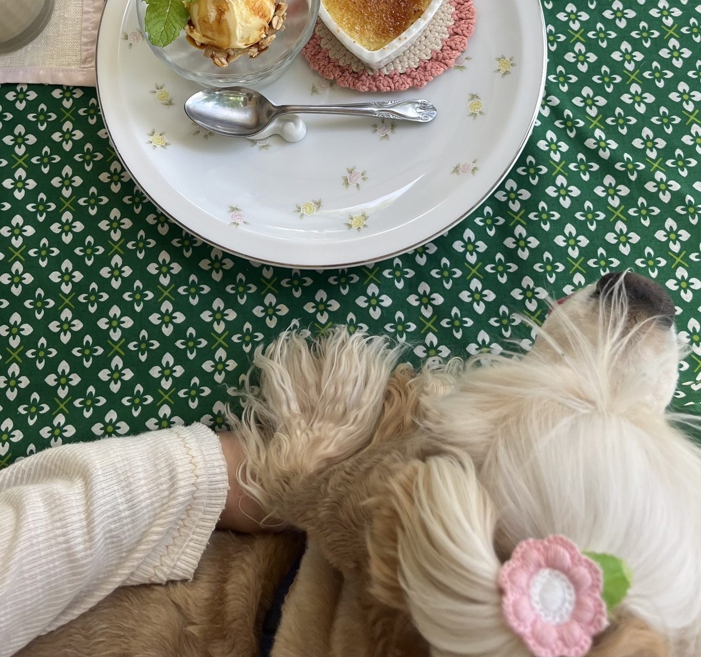 お出かけ日和になりました🍂