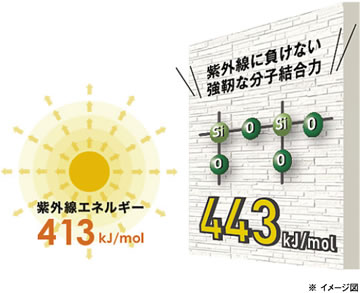 紫外線に負けない強靭な分子結合力