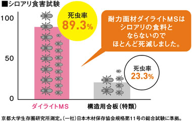 シロアリ食害試験：耐力面材ダイライトMSはシロアリの食料とならないのでほとんど死滅しました。